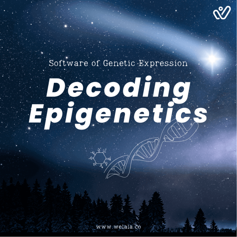 Decoding Epigenetics