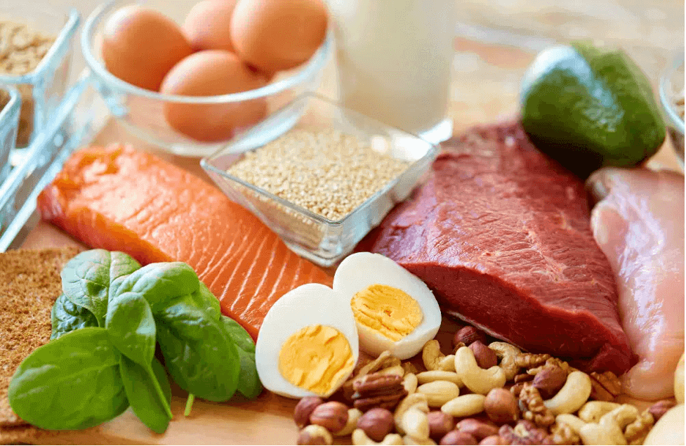 Fat protein intake